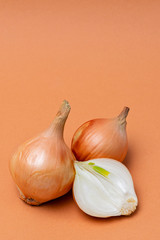 fresh bulbs of onion on a orange background