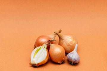 fresh bulbs of onion and garlic on a orange background