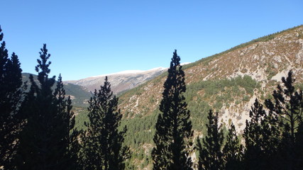 Bosque en una montañas, la silueta del cielo y reflejo del sol