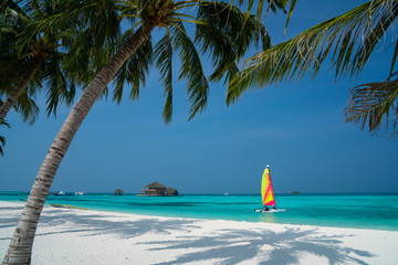 Sandy beach of tropical island in the Maldives