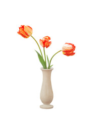 tulips in vase isolated on white  background