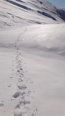 Pisadas en la nieve, sendero en montañas nevadas