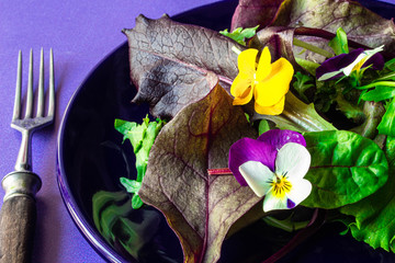 Mix salad leaves on a plate, stone or purple background.