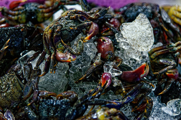 Fresh Crabs In A Thailand Street Market