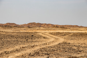 Stone desert jiddat al Harasis along the coastal road to Salalah in Oman © Stefan