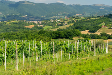 Fototapeta na wymiar Rural landscape near Fabriano, Marches