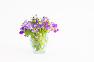 Bouquet of violet flowers in a small, blue glass. Spring violets, closeup.