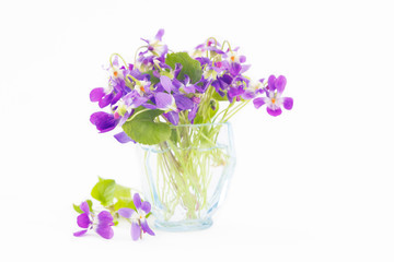 Small bouquet of violet flowers in blue glass. Spring violets, closeup.