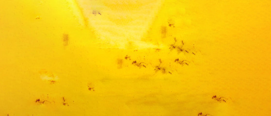 Banana peel texture