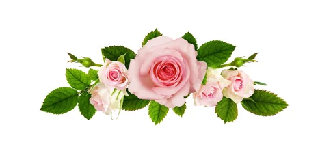 Türaufkleber Nahaufnahme von rosa Rosenblüten © Ortis