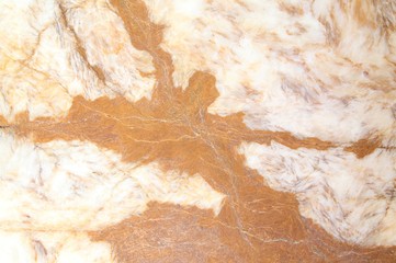 Marble Tiles texture wall marble background