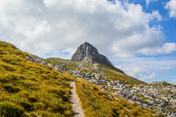 Vercors