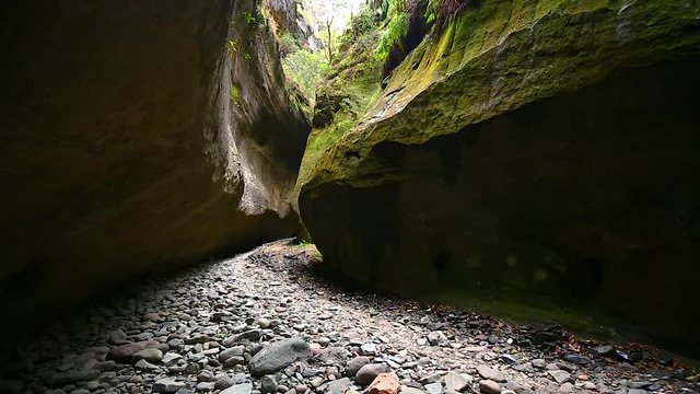 Left to right panning motion of the Moss covered walls of the sandstone gorge known as ( Boowinda Gorge ) at the end of the Main walking trail in the Carnarvon national Park,Queensland,Australia