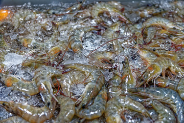 Fresh prawns on sale at the fish market