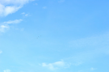 Blue sky with white clouds and three flying birds nice background for several occasions