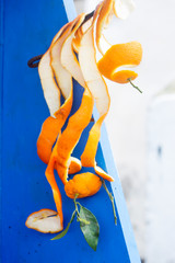 Orange peel with leaves display, juicing stall, Essaouira, Morocco 