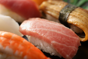 色々な寿司