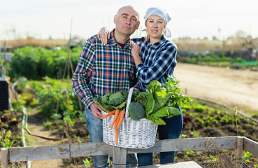 Obraz premium Joyful couple with a basket of vegetables in the garden