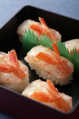 色々な寿司