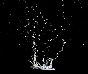 splashes and jets of milk on a black background