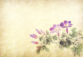 Chinese painting of morning glory