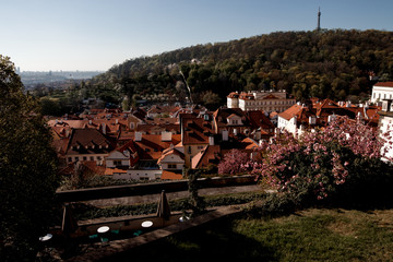 View of Prague's red roofs