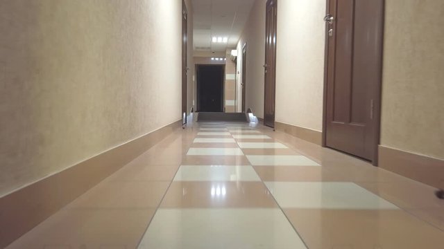 The camera moves above the floor in a corridor with doors and stops in front of the room