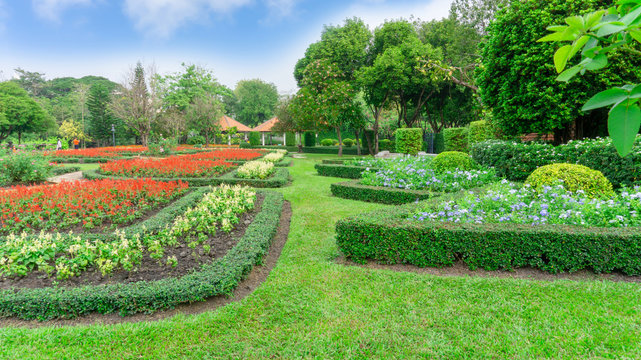 Gardens with geometric shape of bush, decoration flowering plant blooming, green leaf of Philippine tea plant, greenery trees, gazebo on background in a good care landscapes of a public park