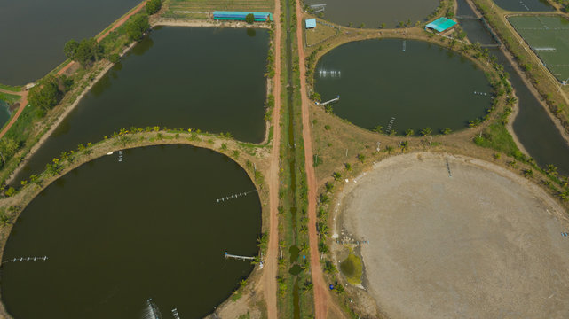 Aerial view from flying drone of Fish pond, fish farm