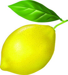 Ripe lemon with a leaf. Vector.