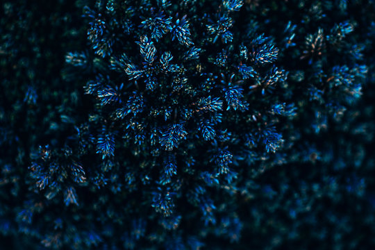 Blue textures