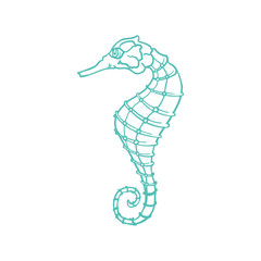 Seahorse vector sketch and thin line art aquatic animal with pencil hatching texture. Oceanairum and tropical aquarium fauna seahorse, underwater marine wildlife, hand drawn icon isolated on white