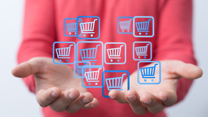 Shopping cart as part of the network in hand . The concept of Innovation in e-Commerce.