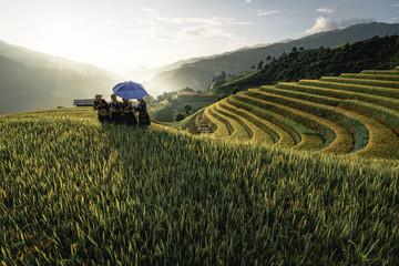 The rice fields of Mu Cang Chai at sunset, Vietnam © Luxeyes Photographie