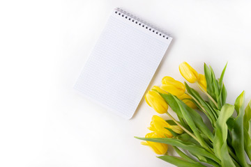 A bouquet of yellow tulips and an open blank notebook for writing and congratulations on a white background.