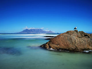 Table Mountain coast in Cape Town South Africa