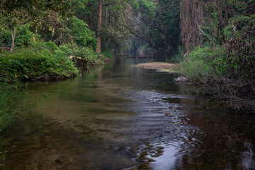 Naklejka na ściany i meble beautiful water stream in the forest