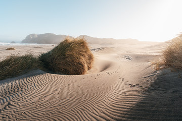 New zealand beach at sunrise