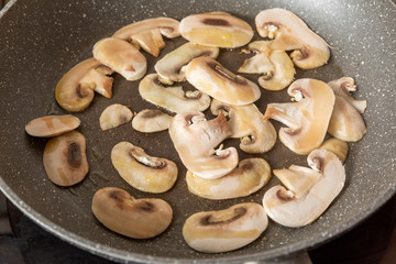 Funghi