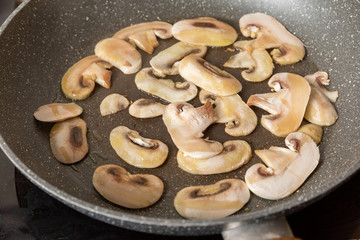 Funghi