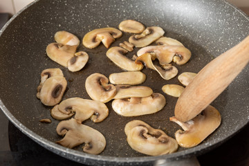 Funghi