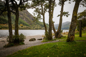 Loch Lomond and Trossachs N.P.