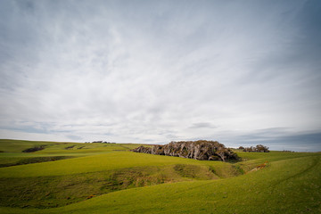 Fototapeta premium Beautiful panoramic view of a grassy hill with trees curiously shaped by the wind taken on a cloudy winter day, New Zealand