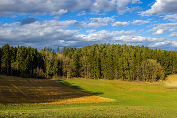 Wiese mit Lichtung und bewölktem Himmel