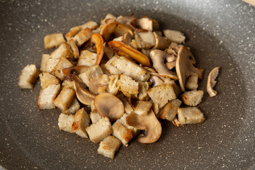 Funghi
