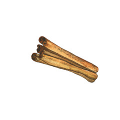 Aquarelle dried cinnamon sticks isolated on white background. Watercolor hand drawn illustration of organic spice from tree bark. Cinnamon pile using in cook, medicine or aromatherapy.