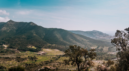 Landscape with mountain peaks in sunset, grape yards in valley, Spanish Pyrenees, Catalonia . Exotic destinations concept.