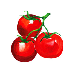 Watercolor illustration of fresh cherry tomato branch isolated on white background