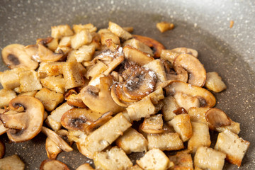 Funghi