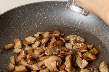 Funghi
